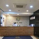 제주 플로라 이미지