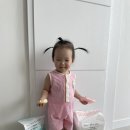 씽씽 | [육아템] 모모래빗 에코씽씽 여름기저귀 착용후기