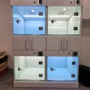 조이풀독 이미지