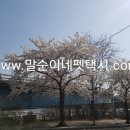 개편하개 이미지