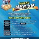 솔향태권도 이미지