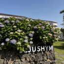 쉼 게스트하우스 이미지