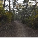 양지암등대길 이미지