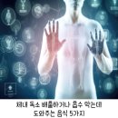 체내 독소배출/흡수에 도움주는 음식 5가지 이미지