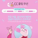 주식회사 퍼펙션