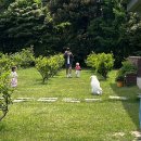 안녕 멈머야 이미지