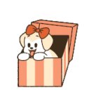 몽실 애견미용 이미지