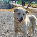 새만금 관광안내소 이미지