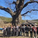 정의2리 이미지