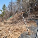 해안뜰 | 해뜰양봉농원 아카시아꿀 500g 후기입니다