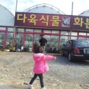예원다육