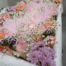 평택병원장례식장 이미지