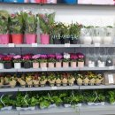 남양농협하나로마트 이미지