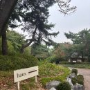 꿀강아지 테리하우스 | 충무로 카페 디저트 맛집 반려동물 동반 가능 하우스커피앤디저트