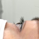4811 | 올라래쉬: 인계동 속눈썹펌, 눈매에 맞는 디자인 상담과 꼼꼼한 시술까지! 케라틴펌 후기