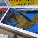 명희네 만세회센타