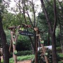 아차산유아숲체험장 네이버블로그