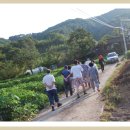 단지농장 이미지