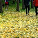 일렁이는 이미지