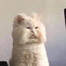 선주사우나 | 할~렐야루