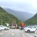 정선중학교 | 강원도 가볼만한 곳 _ 정선 레일바이크 역시 국내 레일바이크 중에 최고, 아이들 가족여행 추천