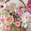 수원-1738 이미지