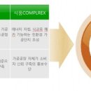 농업회사법인풀로윈(주)