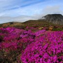 한라산모텔 이미지