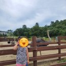 정다운목장 이미지