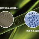 베라에스테틱 - 고양시 일산서구 | 베라에스테틱
