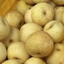 무지개농원 이미지