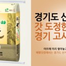 배짱이닷컴