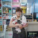 마리오펫 이미지