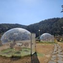 칸델라식당 이미지