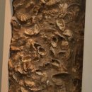 성산패총(유물전시관) 이미지