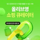올큐레이터