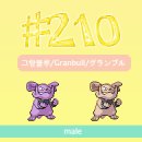 #210 그랑블루/Granbull/グランブル 이미지