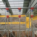 충청 축산 이미지