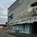 아라마루 | 사천 아라마루 아쿠아리움 주차 입장료 하마 후기