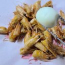 엘림당구장 이미지