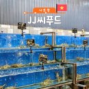 삼삼약국 | 나트랑 해산물 맛집 JJ씨푸드 맛·가격 실제 후기