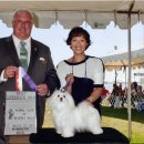 Blue dog club 이미지