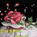 ✴금주의 음악편지 (2025.02.25.화)🆘️건강하다는 건 뭘까요? 이미지