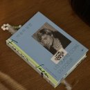 스테이 더 딜라잇 | (내돈내산) 태안 신두리 스테이 더 딜라잇 프라이빗 1박 2일 후기