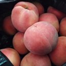 주안튼튼약국 이미지