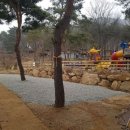 강화도아침숲속캠핑장 이미지