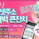 왕대박모바일 이미지