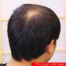 라비쉬독 이미지