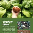 해뜰참마루