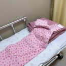 유산 | 계류유산 소파술 후기, 심했던 통증 비용 정리